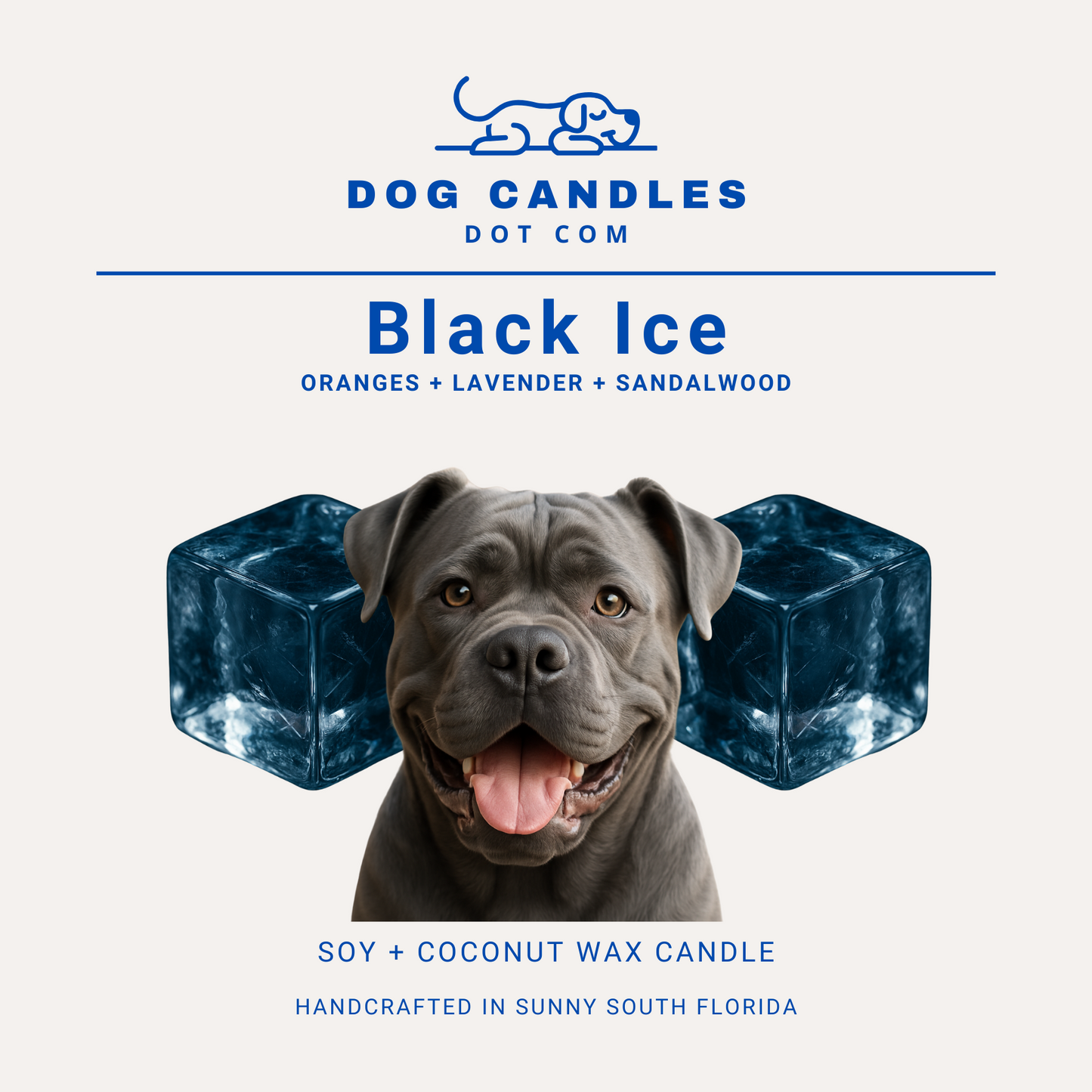 Black Ice Candle