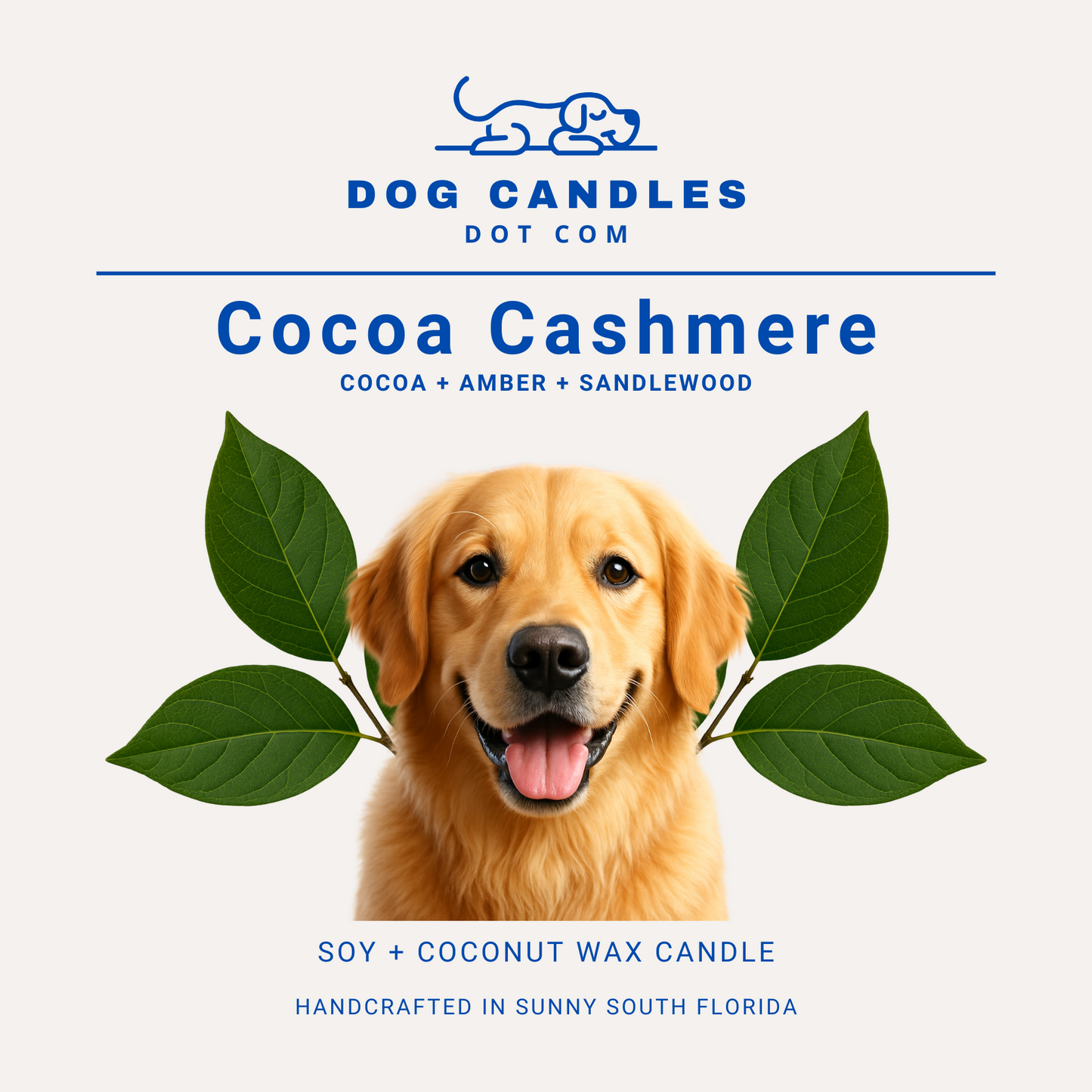 Cocoa Cashmere Candle